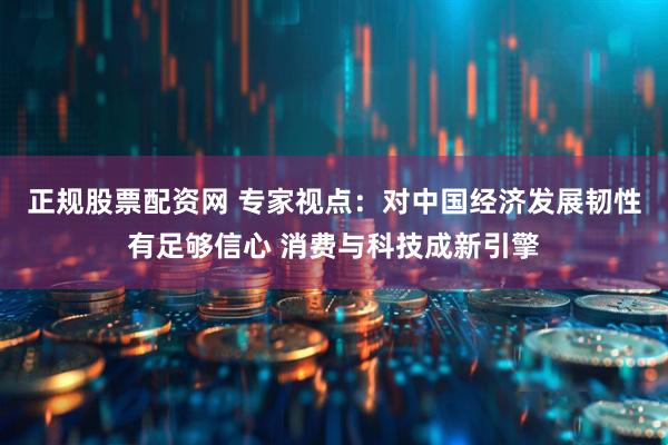 正规股票配资网 专家视点：对中国经济发展韧性有足够信心 消费与科技成新引擎
