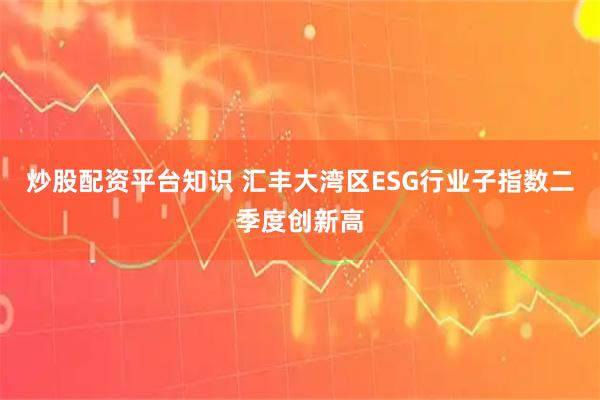 炒股配资平台知识 汇丰大湾区ESG行业子指数二季度创新高