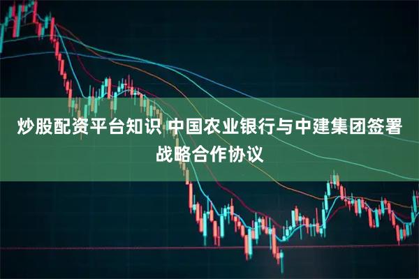 炒股配资平台知识 中国农业银行与中建集团签署战略合作协议