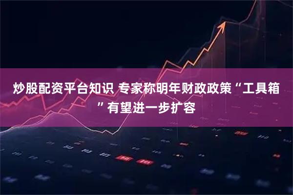 炒股配资平台知识 专家称明年财政政策“工具箱”有望进一步扩容